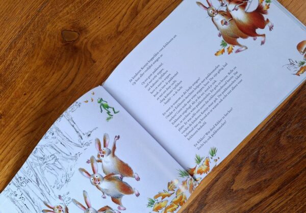Tweedehands boek Kikker en de kleuren