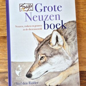 Grote Neuzenboek tweedehands