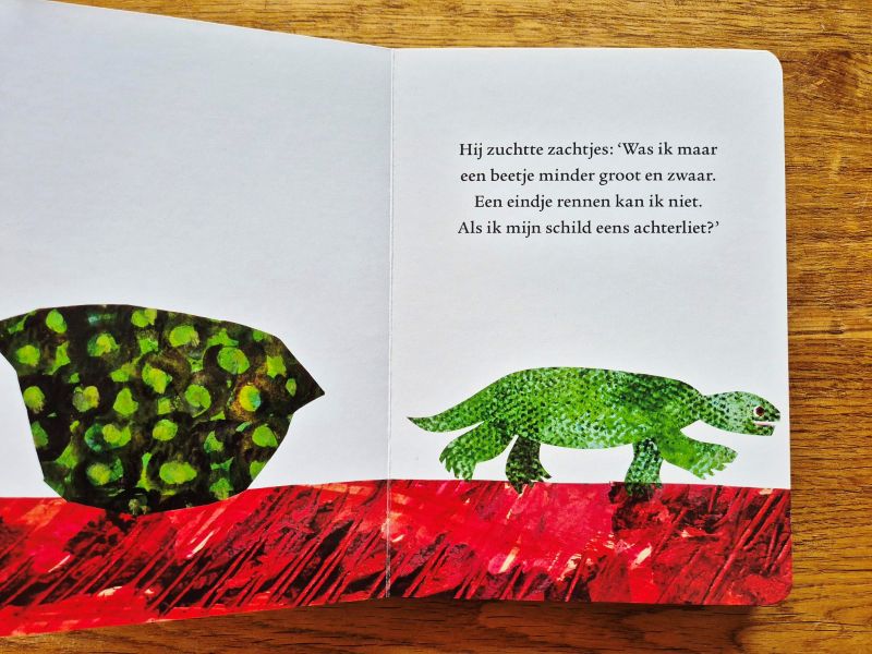 Boek - De slimme schildpad - Afbeelding 2